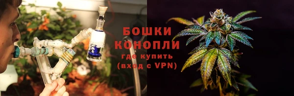 ALPHA PVP Ельня