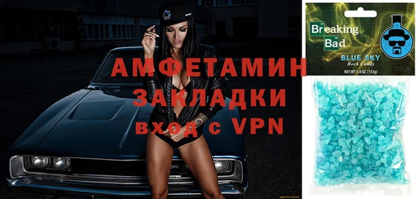ALPHA PVP Ельня
