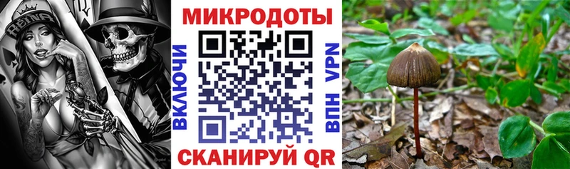 Псилоцибиновые грибы Cubensis  где купить   KRAKEN как зайти  маркетплейс какой сайт  Дзержинск 